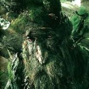 Tree Beard