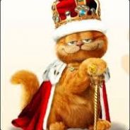 _-King cat-_