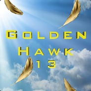 GoldenHawk13